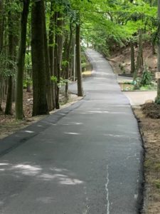 Driveway_8-13-19 (1)